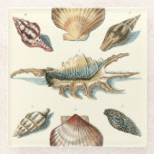 Fancy Shell Beach Glazen Onderzetter (Voorkant)