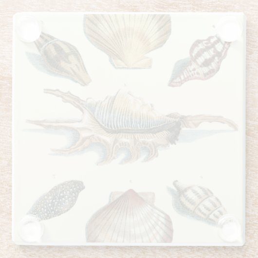 Fancy Shell Beach Glazen Onderzetter (Achterkant)