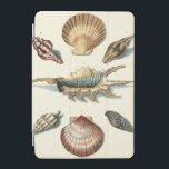 Fancy Shell Beach iPad Mini Cover<br><div class="desc">George Wolfgang Knorr staat bekend om de delicate details en precisie van zijn illustraties van schelpen en zeester. Zijn tekeningen werden beïnvloed door zijn eigen interesse in wetenschap,  een populair onderwerp van zijn tijd.</div>