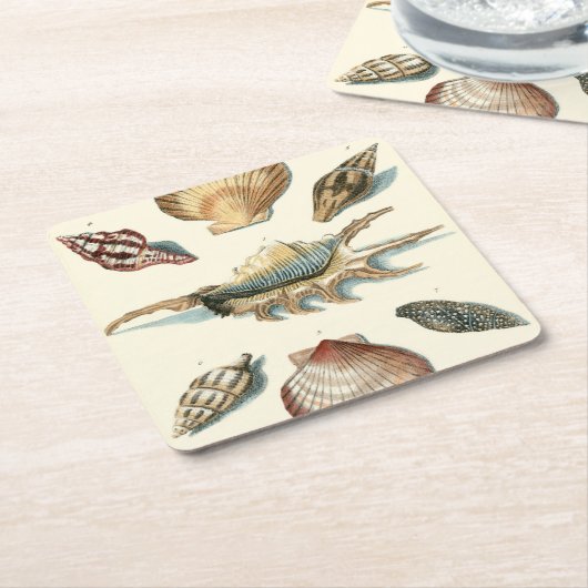 Fancy Shell Beach Kartonnen Onderzetters (Schuin)