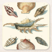 Fancy Shell Beach Kartonnen Onderzetters (Voorkant)
