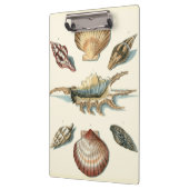 Fancy Shell Beach Klembord (Links)