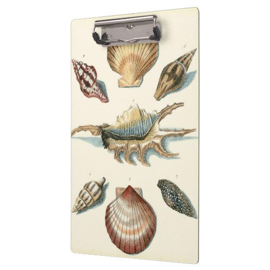 Fancy Shell Beach Klembord (Links)