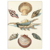 Fancy Shell Beach Klembord (Achterkant)