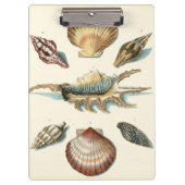 Fancy Shell Beach Klembord (Voorkant)