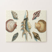 Fancy Shell Beach Legpuzzel (Horizontaal)