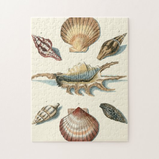 Fancy Shell Beach Legpuzzel (Verticaal)