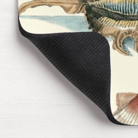 Fancy Shell Beach Muismat (Hoek)