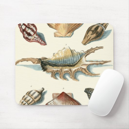 Fancy Shell Beach Muismat (Met muis)