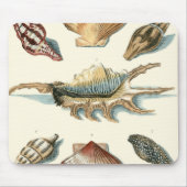 Fancy Shell Beach Muismat (Voorkant)