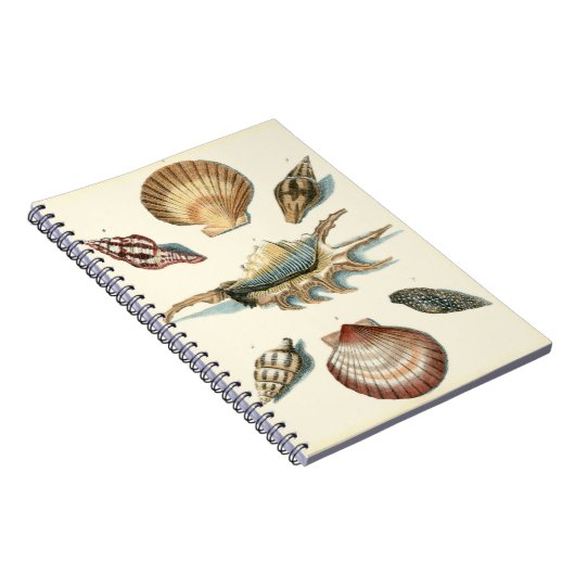 Fancy Shell Beach Notitieboek (Rechterzijde)