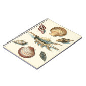 Fancy Shell Beach Notitieboek (Linkerzijde)