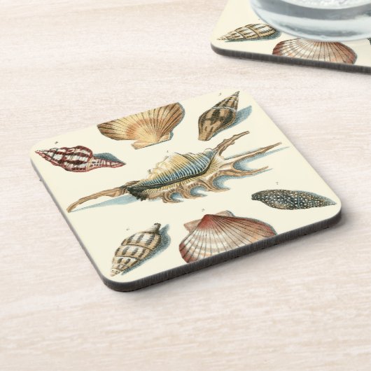 Fancy Shell Beach Onderzetter (Linkerzijde)