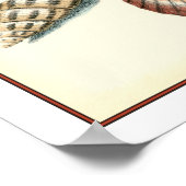 Fancy Shell Beach Poster (Hoek)