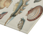 Fancy Shell Beach Snijplank (Hoek)