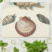 Fancy Shell Beach Theedoek (Gevouwen)