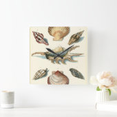 Fancy Shell Beach Vierkante Klok (Huis)