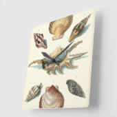 Fancy Shell Beach Vierkante Klok (Hoek)