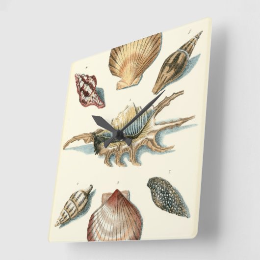 Fancy Shell Beach Vierkante Klok (Hoek)