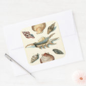 Fancy Shell Beach Vierkante Sticker (Envelop)