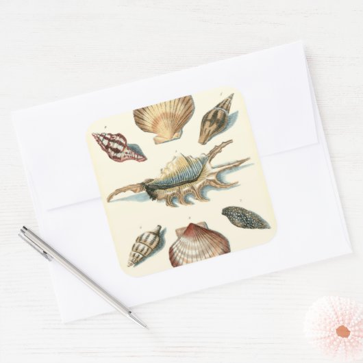 Fancy Shell Beach Vierkante Sticker (Envelop)