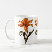  Fancy Sinaasappel Lily in Bloom, tuinbloemen Koffiemok (Links)
