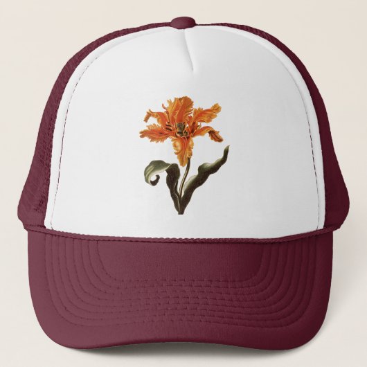  Fancy Sinaasappel Lily in Bloom, tuinbloemen Trucker Pet (Voorkant)