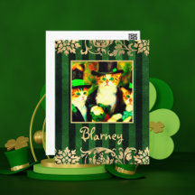 Fancy St Patrick's Day Cats Blarney met Stripes