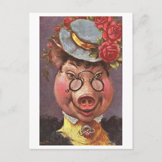 Fancy varken Briefkaart (Voorkant)