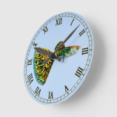 Fancy viskuil voor snuffelvis ronde klok (Hoek)