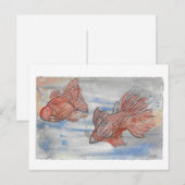 Fancy vissen briefkaart (Voorkant / Achterkant)