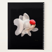 Fancy weekmaandelijkse platenfabriek voor vissen planner (Achterkant)