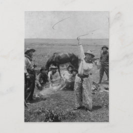 Fancy weergave briefkaart