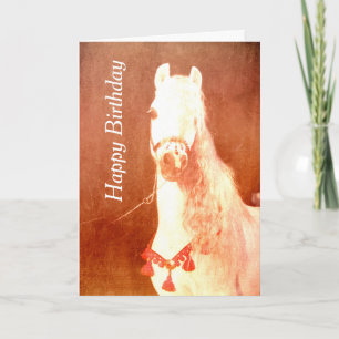 Fancy-witte Pony Vintage Kaart