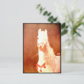 Fancy witte Pony  zigeunerstijl Briefkaart (Staand voorkant)