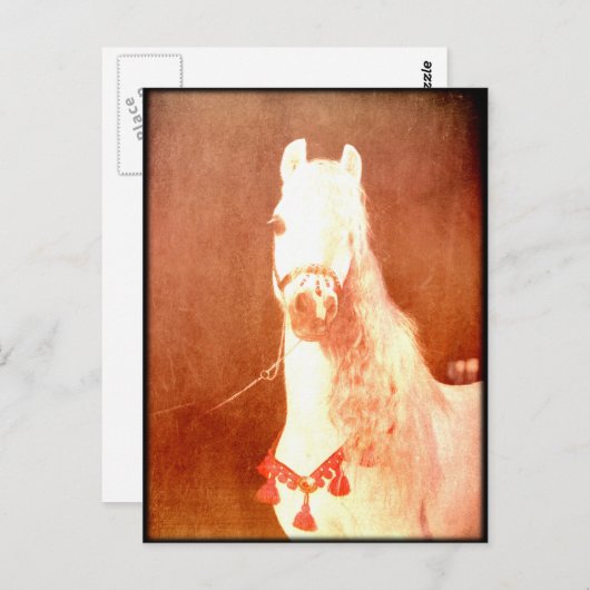 Fancy witte Pony zigeunerstijl Briefkaart (Voorkant / Achterkant)