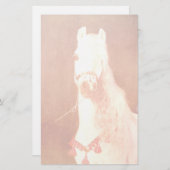 Fancy witte Pony zigeunerstijl Briefpapier (Voorkant / Achterkant)