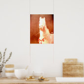 Fancy witte Pony zigeunerstijl Poster (Keuken)