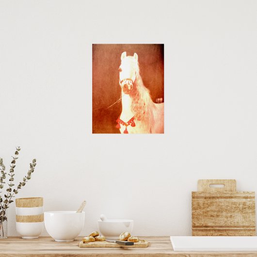 Fancy witte Pony zigeunerstijl Poster (Keuken)