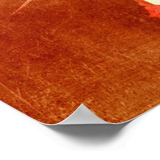 Fancy witte Pony zigeunerstijl Poster (Hoek)