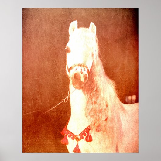 Fancy witte Pony zigeunerstijl Poster (Voorkant)