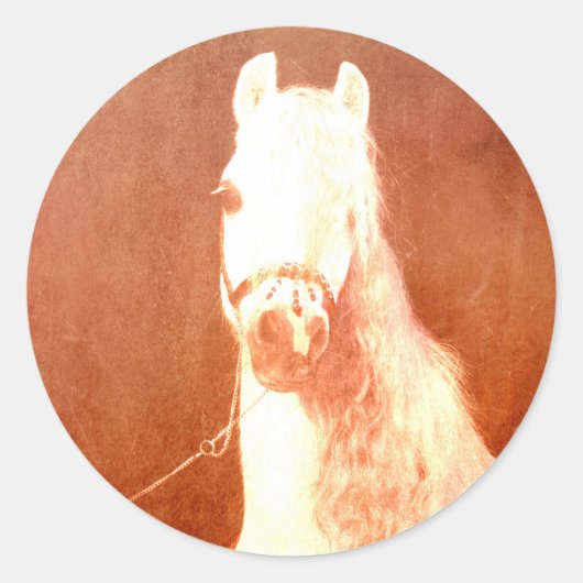 Fancy witte Pony  zigeunerstijl Ronde Sticker (Voorkant)