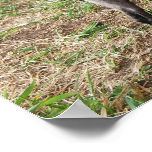 Fancy zwarte Speelgoed pooiejongen Poster (Hoek)