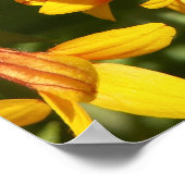 Fanfare Gaillardia - Gepersonaliseerd Poster (Hoek)