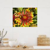 Fanfare Gaillardia - Gepersonaliseerd Poster (Keuken)