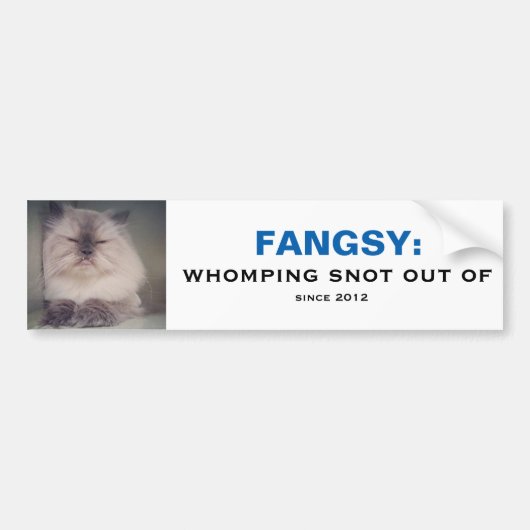Fangsy Bumpersticker (Voorkant)