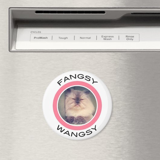 Fangsy magneet (Insitu (Vaatwasser))