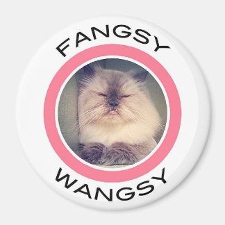 Fangsy magneet