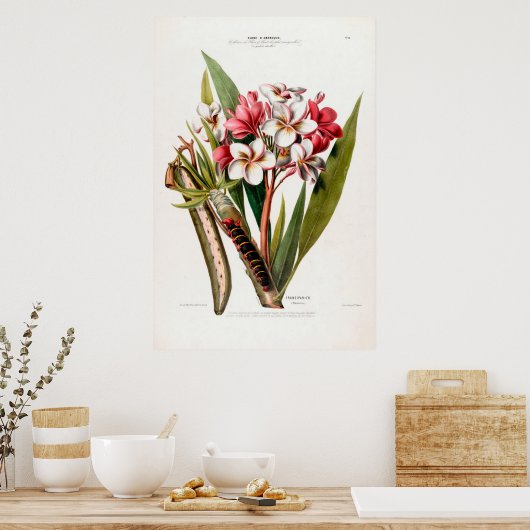  Fanical Frangipani Flore D Amerique Poster (Keuken)