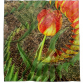 Fanned Tulp........ Douchegordijn (Voorkant)